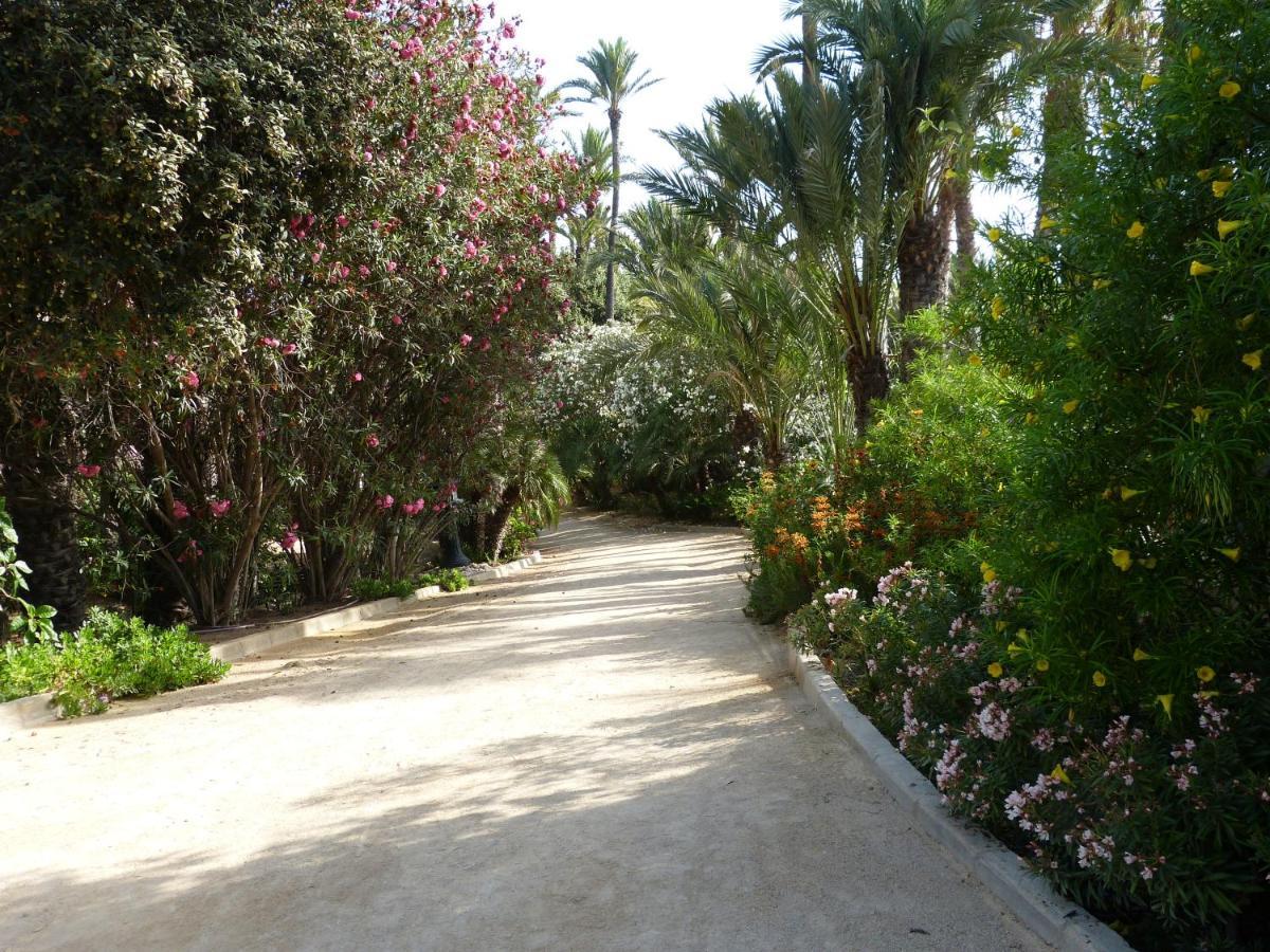 Very Best Flat Ust 800M Postiguet-Beach Alicante Dış mekan fotoğraf